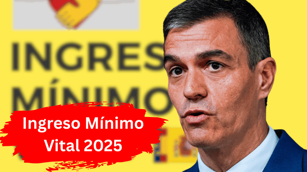 Ingreso Mínimo Vital 2025
